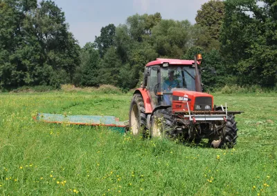 sečení