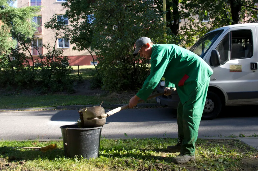 Zakládání trávníků